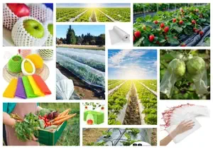 about image